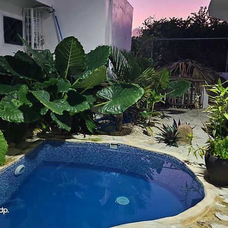 Unique And Quiet Apartments La Botanica Tropical 푼타 카나 외부 사진
